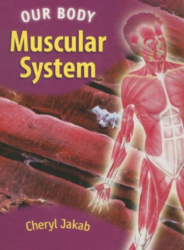Beispielbild fr Muscular System zum Verkauf von Better World Books
