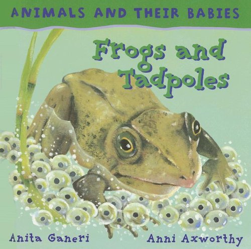 Beispielbild fr Frogs and Tadpoles zum Verkauf von Better World Books