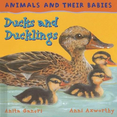 Stock image for Ducks and Ducklings for sale by Better World Books: West