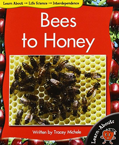 9781583408919: Bees to Honey (Learnabouts F&p Level E)