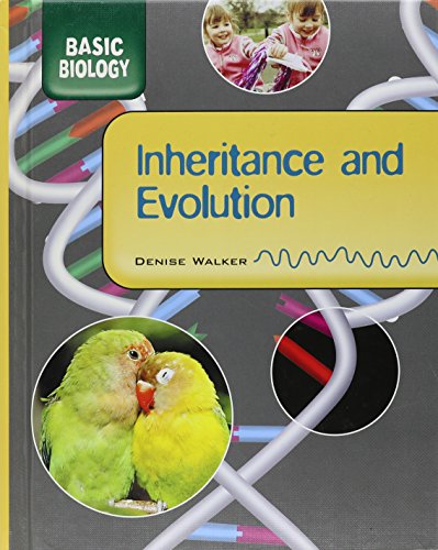 Stock image for Inheritance and Evolution for sale by Better World Books