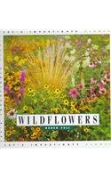 Imagen de archivo de Wildflowers (Let's Investigate. Plants) a la venta por SecondSale