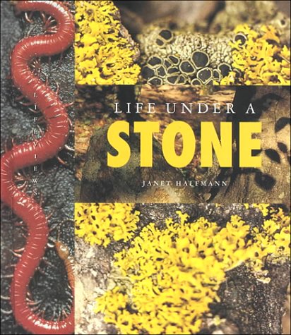 Stock image for Life Under a Stone (Halfmann, Janet. Lifeviews.) for sale by HPB-Ruby