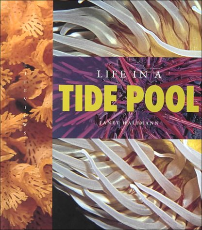 Life in a Tide Pool (Lifeviews) (9781583410769) by Halfmann, Janet