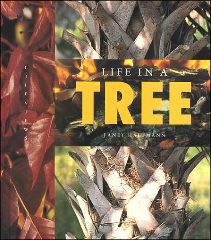 Life in a Tree (Halfmann, Janet. Lifeviews.) (9781583410776) by Janet Halfmann
