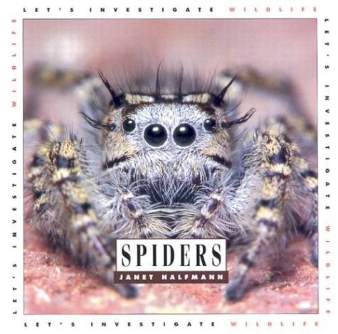 Stock image for Spiders: Let's Investigate for sale by Ergodebooks