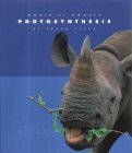 Stock image for Photosynthesis (World of Wonder) for sale by Booksavers of MD