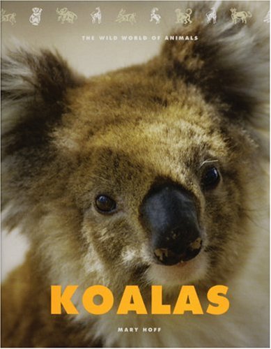 Imagen de archivo de Koalas: The Wild World of Animals a la venta por Once Upon A Time Books
