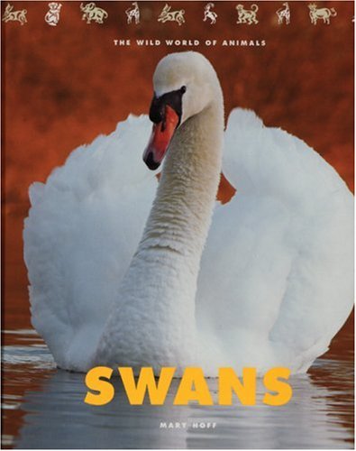 Stock image for Swans: The Wild World of Animals for sale by Once Upon A Time Books
