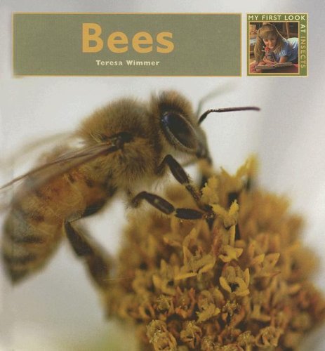 9781583414545: Bees (My First Look at Insects)