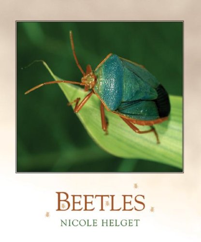 Imagen de archivo de Beetles (Bugbooks) a la venta por Reliant Bookstore