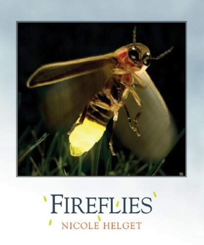 9781583415429: Fireflies