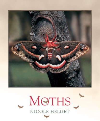 Stock image for Moths for sale by Better World Books
