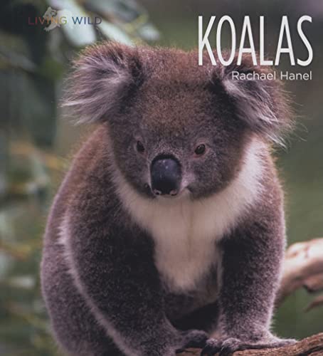 Beispielbild fr Koalas zum Verkauf von Better World Books