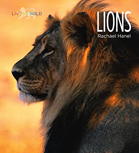 Stock image for Lions for sale by Better World Books