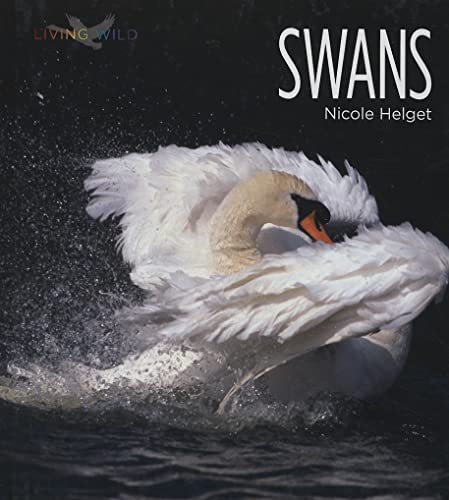 9781583416594: Swans