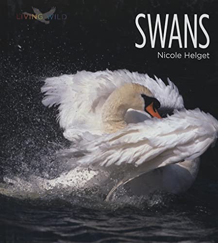 Stock image for Swans for sale by ThriftBooks-Atlanta