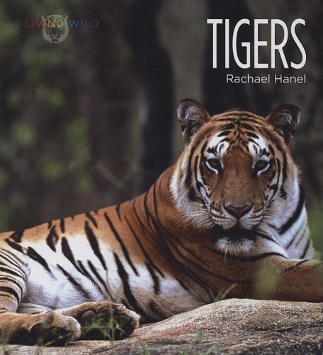 Stock image for Tigers for sale by Better World Books