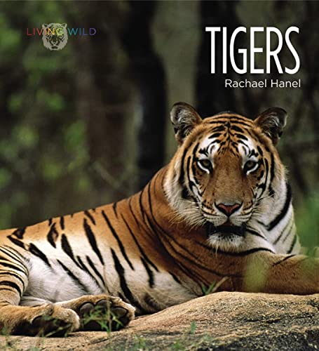 9781583416600: Tigers (Living Wild)