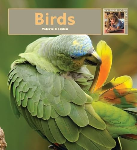 Stock image for Birds for sale by Better World Books
