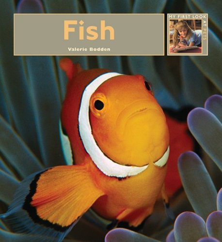 9781583417225: Fish (My First Look at Pets)