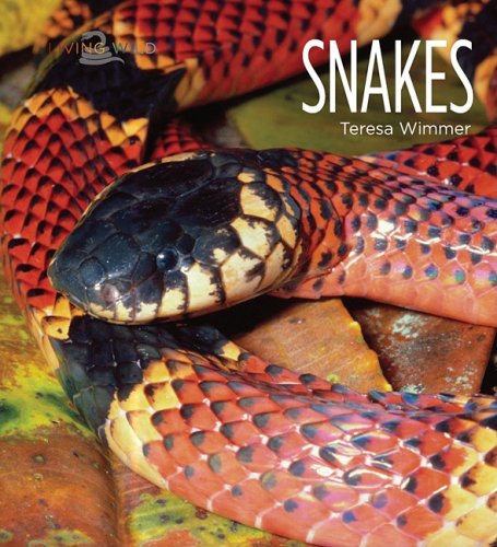 9781583417430: Snakes (Living Wild)