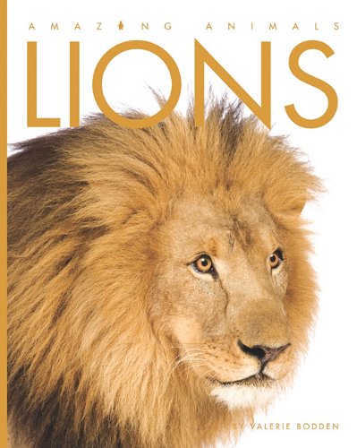 Imagen de archivo de Amazing Animals - Lions a la venta por Better World Books