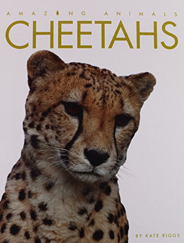 9781583419885: Cheetahs (Amazing Animals)