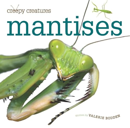 Beispielbild fr Mantises (Creepy Creatures) zum Verkauf von More Than Words