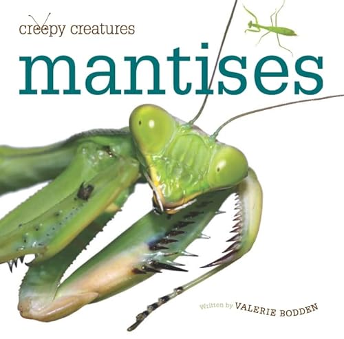 Stock image for Mantises (Creepy Creatures) for sale by More Than Words