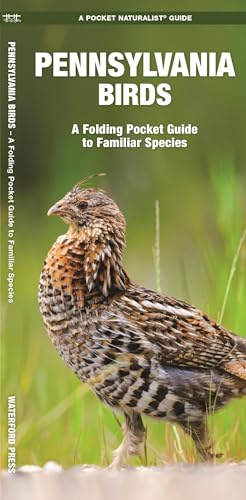 Beispielbild fr Pennsylvania Birds : A Folding Pocket Guide to Familiar Species zum Verkauf von Better World Books