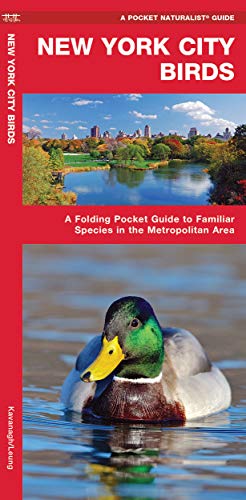 Beispielbild fr New York City Birds: A Folding Pocket Guide to Familiar Species in the Metropolitan Area (Wildlife and Nature Identification) zum Verkauf von HPB-Ruby