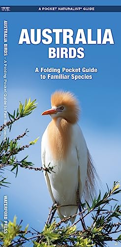 9781583550366: Australian Birds: A Folding Pocket Guide to Familiar Species (Pocket Naturalist Guide Series)