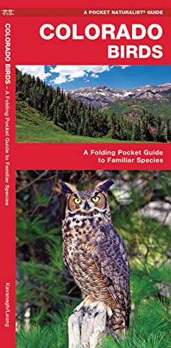 Stock image for Colorado Birds: A Folding Pocket Guide to Familiar Species (Wildlife and Nature Identification) for sale by BooksRun