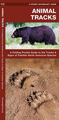 Beispielbild fr Animal Tracks: A Folding Pocket Guide to the Tracks & Signs of Familiar North American Species (Wildlife and Nature Identification) zum Verkauf von BooksRun