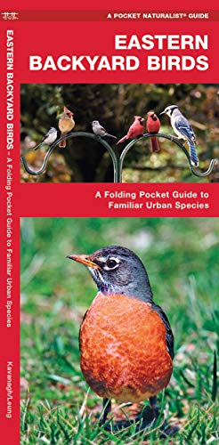 Beispielbild fr Eastern Backyard Birds: A Folding Pocket Guide to Familiar Urban Species (Wildlife and Nature Identification) zum Verkauf von Wonder Book