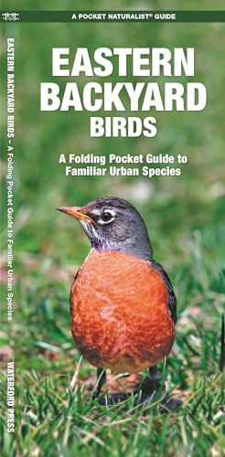 Stock image for Eastern Backyard Birds: A Folding Pocket Guide to Familiar Urban Species (Wildlife and Nature Identification) for sale by SecondSale