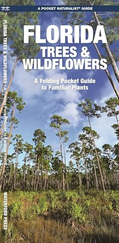 Stock image for Florida Trees and Wildflowers : A Folding Pocket Guide to Familiar Species for sale by Better World Books: West