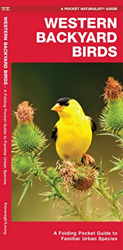 Stock image for Western Backyard Birds: A Folding Pocket Guide to Familiar Urban Species (Wildlife and Nature Identification) for sale by Once Upon A Time Books