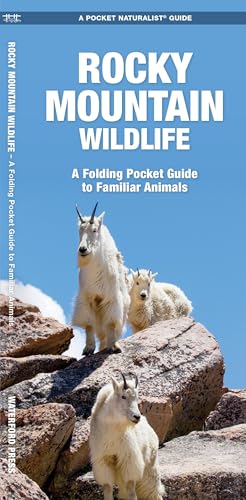 Stock image for Rocky Mountain Wildlife: A Folding Pocket Guide to Familiar Animals (Wildlife and Nature Identification) for sale by Goodwill of Colorado