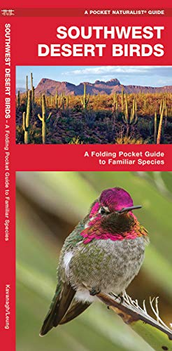 Beispielbild fr Southwestern Desert Birds: An Introduction to Familiar Species zum Verkauf von Jenson Books Inc