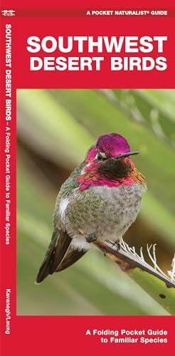 Stock image for Southwestern Desert Birds: An Introduction to Familiar Species for sale by Jenson Books Inc