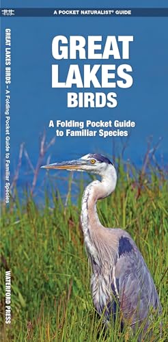 Beispielbild fr Southwestern Birds : An Introduction to Familiar Species zum Verkauf von Better World Books