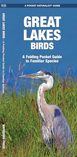 Great Lakes Birds: A Folding Pocket Guide to Familiar Species (Wildlife and Nature Identification) (9781583550922) by Kavanagh Waterford Press, James