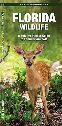 

Florida Wildlife: A Folding Pocket Guide to Familiar Animals (Wildlife and Nature Identification)
