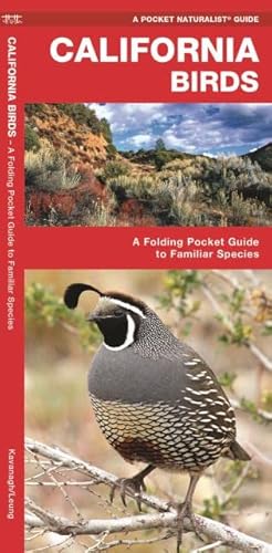 Beispielbild fr California Birds: A Folding Pocket Guide to Familiar Species (A Pocket Naturalist Guide) zum Verkauf von WorldofBooks