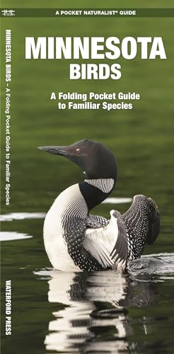 Stock image for Minnesota Birds: A Folding Pocket Guide to Familiar Species (Wildlife and Nature Identification) for sale by Off The Shelf