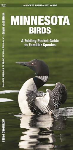 Minnesota Birds: A Folding Pocket Guide to Familiar Species (Wildlife and Nature Identification) (9781583551035) by Kavanagh Waterford Press, James