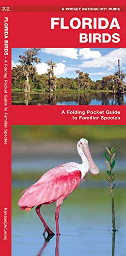 Florida Birds: A Folding Pocket Guide to Familiar Species (Pocket Naturalist Guide Series)