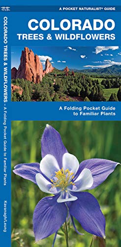 Stock image for Colorado Trees & Wildflowers: A Folding Pocket Guide to Familiar Plants (Wildlife and Nature Identification) for sale by Goodwill of Colorado